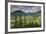 Romania, Transylvania, Tihuta Pass, Mountain Buildings of the Pass-Walter Bibikow-Framed Photographic Print