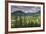 Romania, Transylvania, Tihuta Pass, Mountain Buildings of the Pass-Walter Bibikow-Framed Photographic Print