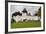 Romania, Transylvania, Viscri, Fortified Saxon Church-Walter Bibikow-Framed Photographic Print