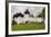 Romania, Transylvania, Viscri, Fortified Saxon Church-Walter Bibikow-Framed Photographic Print