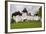 Romania, Transylvania, Viscri, Fortified Saxon Church-Walter Bibikow-Framed Photographic Print