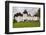 Romania, Transylvania, Viscri, Fortified Saxon Church-Walter Bibikow-Framed Photographic Print