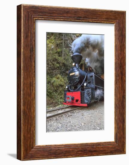 Romania, Viseu de Sus, Wood-burning steam locomotive.-Emily Wilson-Framed Photographic Print