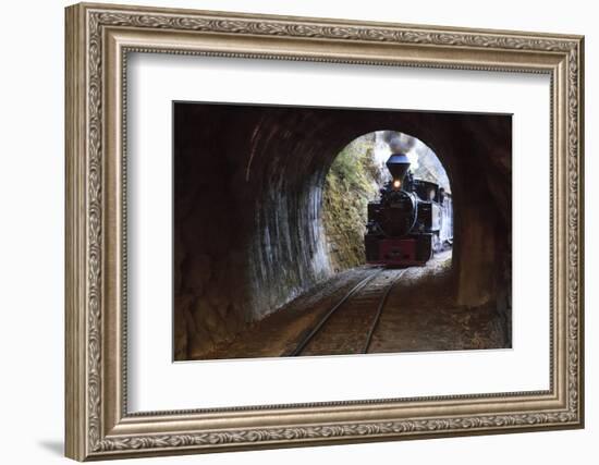 Romania, Viseu de Sus, Wood-burning steam locomotive.-Emily Wilson-Framed Photographic Print