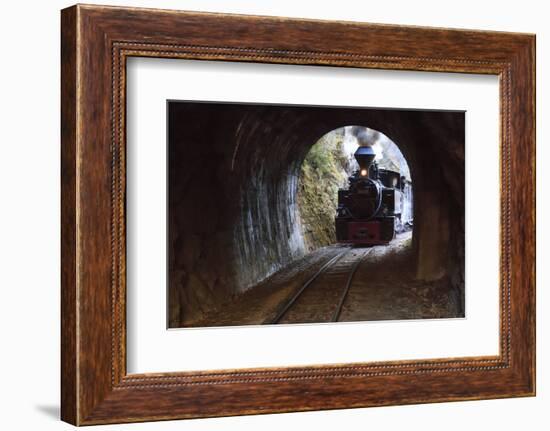 Romania, Viseu de Sus, Wood-burning steam locomotive.-Emily Wilson-Framed Photographic Print