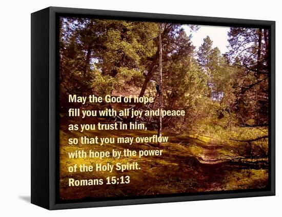 Romans 15:13-Ruth Palmer 2-Framed Stretched Canvas