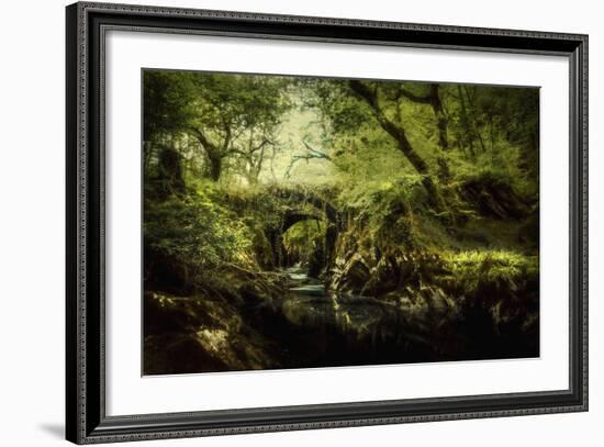 Romantic English Landscape-Mark Gemmell-Framed Photographic Print