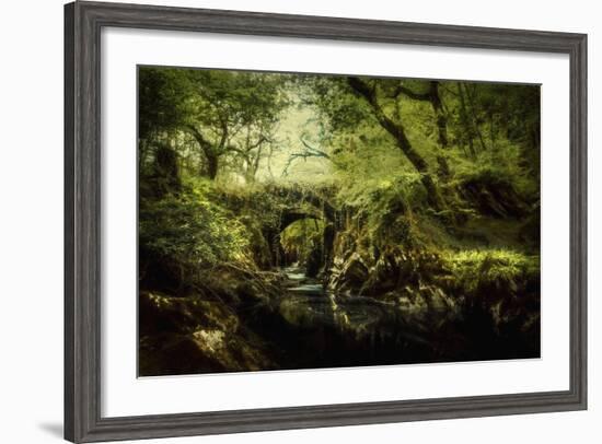 Romantic English Landscape-Mark Gemmell-Framed Photographic Print