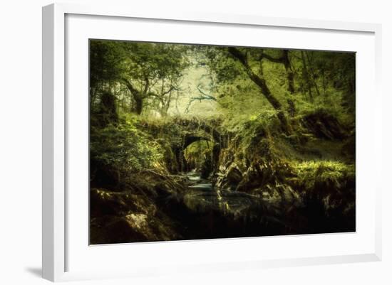 Romantic English Landscape-Mark Gemmell-Framed Photographic Print