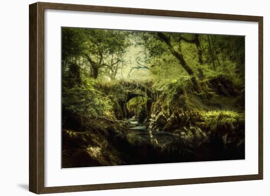 Romantic English Landscape-Mark Gemmell-Framed Photographic Print