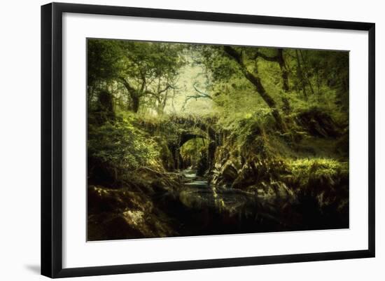 Romantic English Landscape-Mark Gemmell-Framed Photographic Print