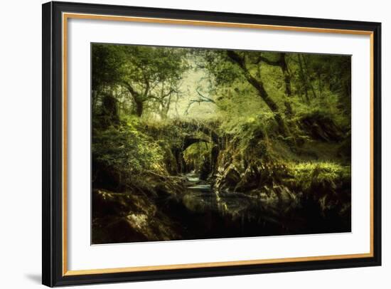 Romantic English Landscape-Mark Gemmell-Framed Photographic Print