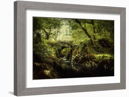 Romantic English Landscape-Mark Gemmell-Framed Photographic Print