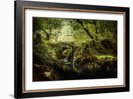 Romantic English Landscape-Mark Gemmell-Framed Photographic Print