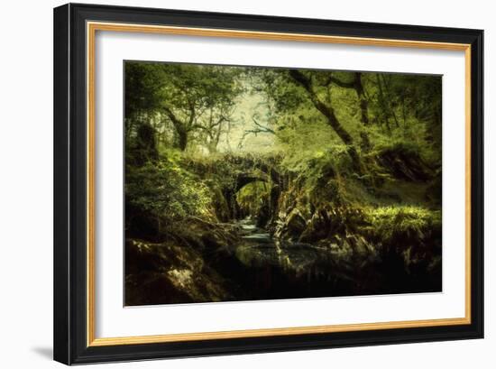 Romantic English Landscape-Mark Gemmell-Framed Photographic Print