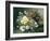 Romantic Flowers-Eugene Henri Cauchois-Framed Giclee Print