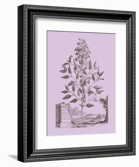 Romantic Jasmine-Vision Studio-Framed Art Print