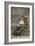 Romantic Postcard Featuring a Soldier and His Sweetheart, C1914-18-null-Framed Giclee Print