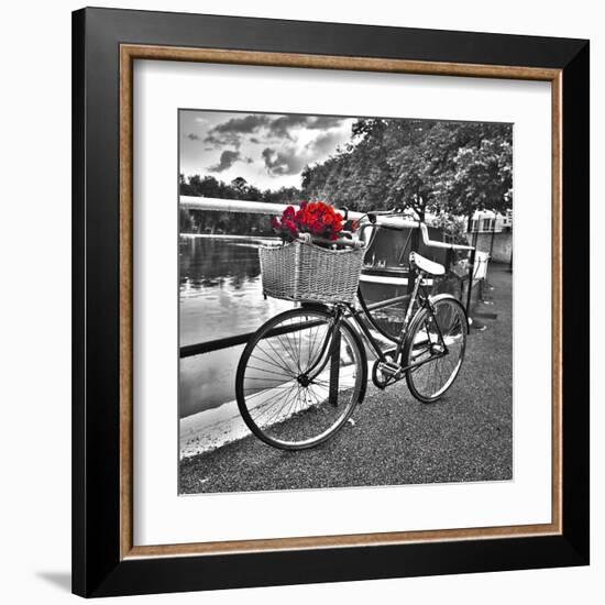Romantic Roses I-Assaf Frank-Framed Art Print