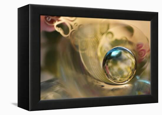 Romantic Sphere-Heidi Westum-Framed Premier Image Canvas