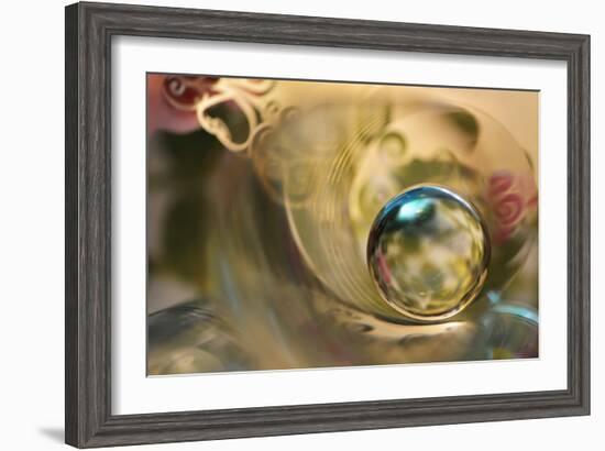 Romantic Sphere-Heidi Westum-Framed Photographic Print