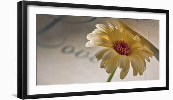 Romantic Still Life with Blossom-Uwe Merkel-Framed Photographic Print