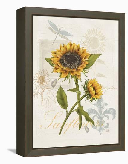 Romantic Sunflower II-Jade Reynolds-Framed Stretched Canvas