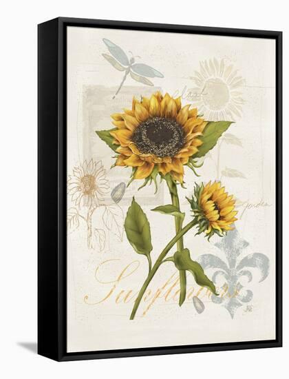 Romantic Sunflower II-Jade Reynolds-Framed Stretched Canvas