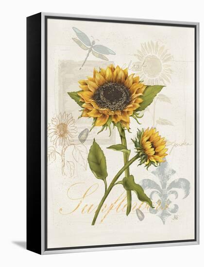 Romantic Sunflower II-Jade Reynolds-Framed Stretched Canvas