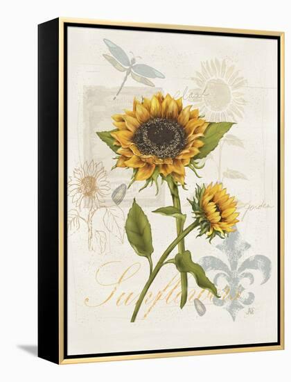 Romantic Sunflower II-Jade Reynolds-Framed Stretched Canvas