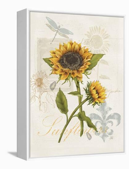 Romantic Sunflower II-Jade Reynolds-Framed Stretched Canvas