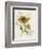 Romantic Sunflower II-Jade Reynolds-Framed Premium Giclee Print