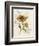 Romantic Sunflower II-Jade Reynolds-Framed Premium Giclee Print