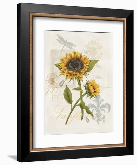 Romantic Sunflower II-Jade Reynolds-Framed Premium Giclee Print