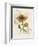 Romantic Sunflower II-Jade Reynolds-Framed Premium Giclee Print