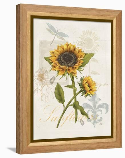 Romantic Sunflower II-Jade Reynolds-Framed Stretched Canvas