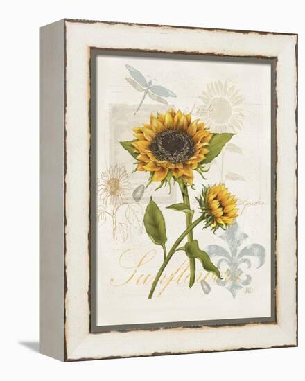 Romantic Sunflower II-Jade Reynolds-Framed Stretched Canvas