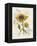 Romantic Sunflower II-Jade Reynolds-Framed Stretched Canvas