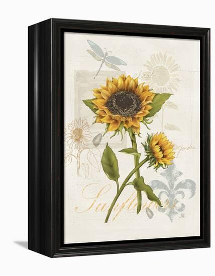 Romantic Sunflower II-Jade Reynolds-Framed Stretched Canvas