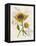 Romantic Sunflower II-Jade Reynolds-Framed Stretched Canvas