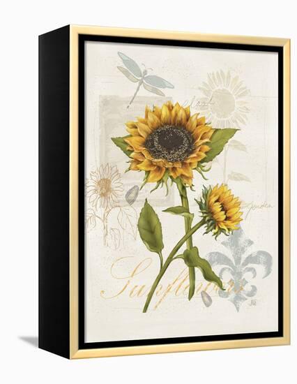 Romantic Sunflower II-Jade Reynolds-Framed Stretched Canvas