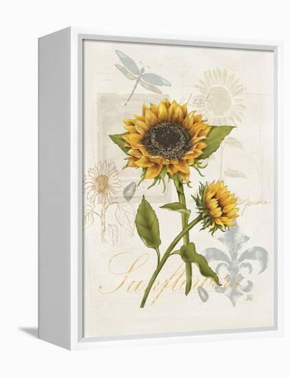 Romantic Sunflower II-Jade Reynolds-Framed Stretched Canvas