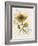 Romantic Sunflower II-Jade Reynolds-Framed Art Print