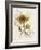 Romantic Sunflower II-Jade Reynolds-Framed Art Print