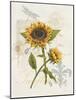 Romantic Sunflower II-Jade Reynolds-Mounted Art Print