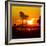 Romantic Walk along the Ocean at Sunset-Philippe Hugonnard-Framed Photographic Print