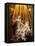 Rome, Church of Santa Maria Della Vittoria: Ecstasy of St Theresa-null-Framed Premier Image Canvas