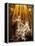 Rome, Church of Santa Maria Della Vittoria: Ecstasy of St Theresa-null-Framed Premier Image Canvas