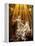 Rome, Church of Santa Maria Della Vittoria: Ecstasy of St Theresa-null-Framed Premier Image Canvas