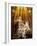 Rome, Church of Santa Maria Della Vittoria: Ecstasy of St Theresa-null-Framed Photographic Print